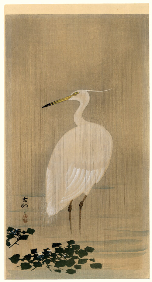 Wading Egret