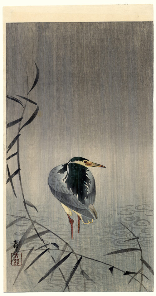 Heron in Downpour