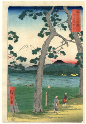 Tokaido Hidari Fuji