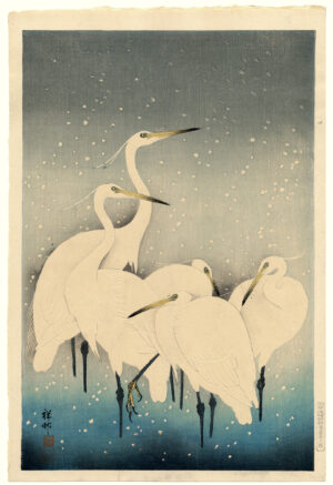 Group of Egrets