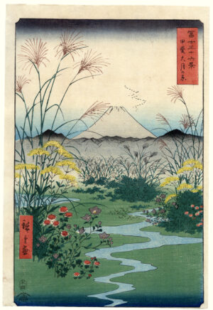 Kai Otsukigahara
