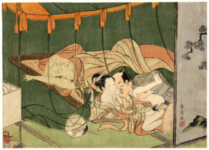 The Mosquito Net