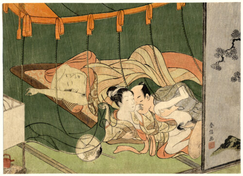 The Mosquito Net