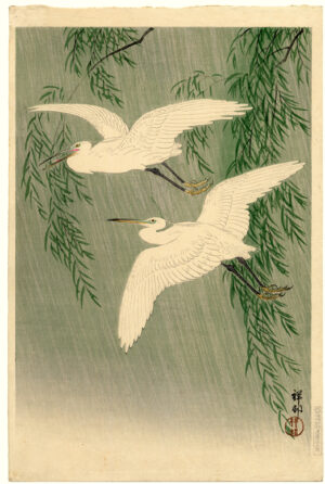 Egrets in Rain