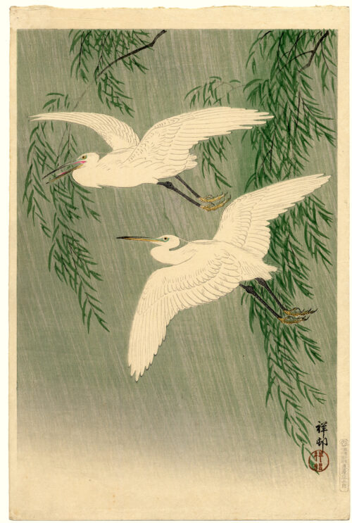 Egrets in Rain